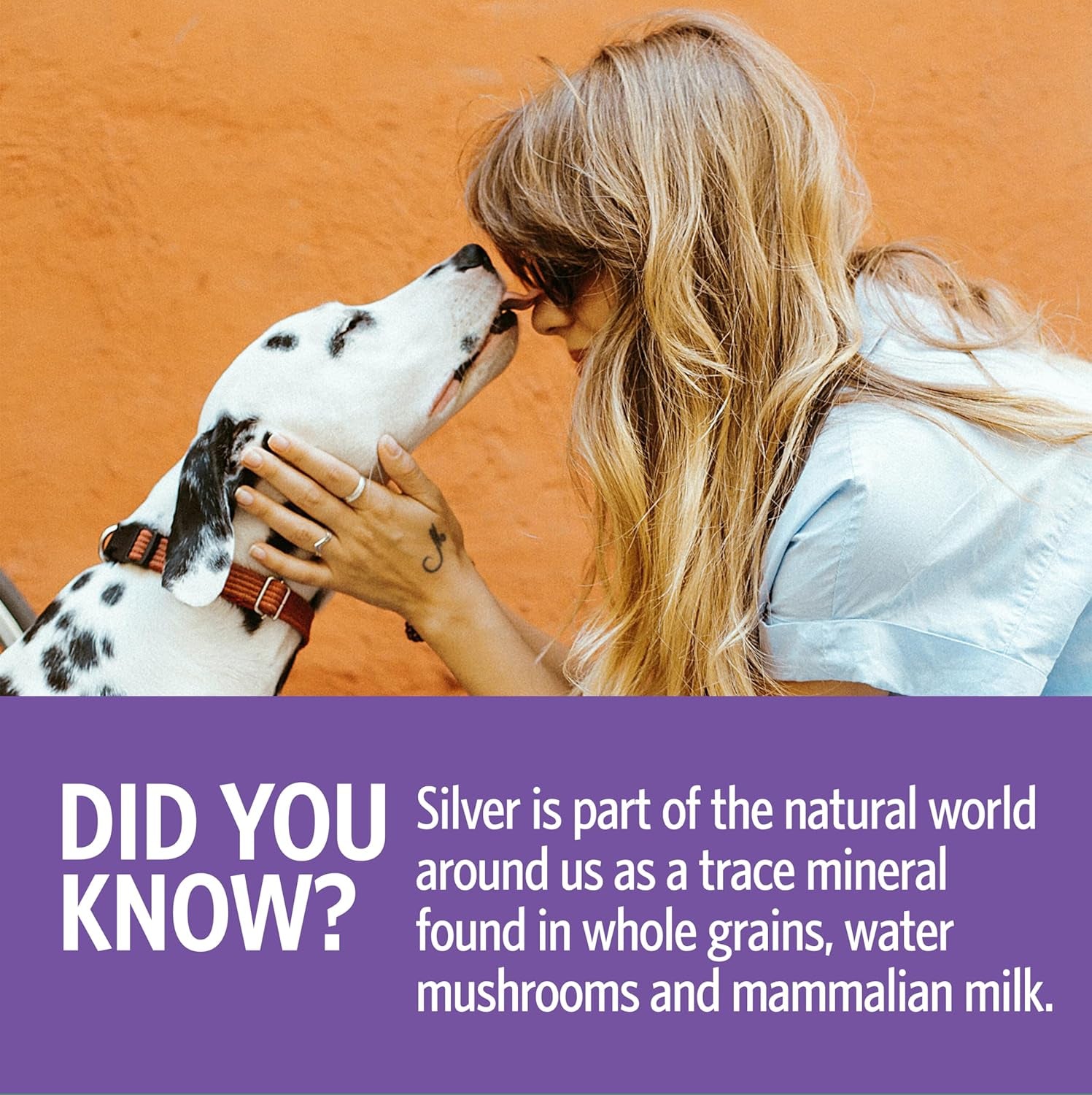 Pets Immune Support - Colloidal Silver, Bio-Active Silver Hydrosol, for Dogs and Cats 10 Ppm, Liquid Dropper, 4 Fl Oz, (118 Ml)