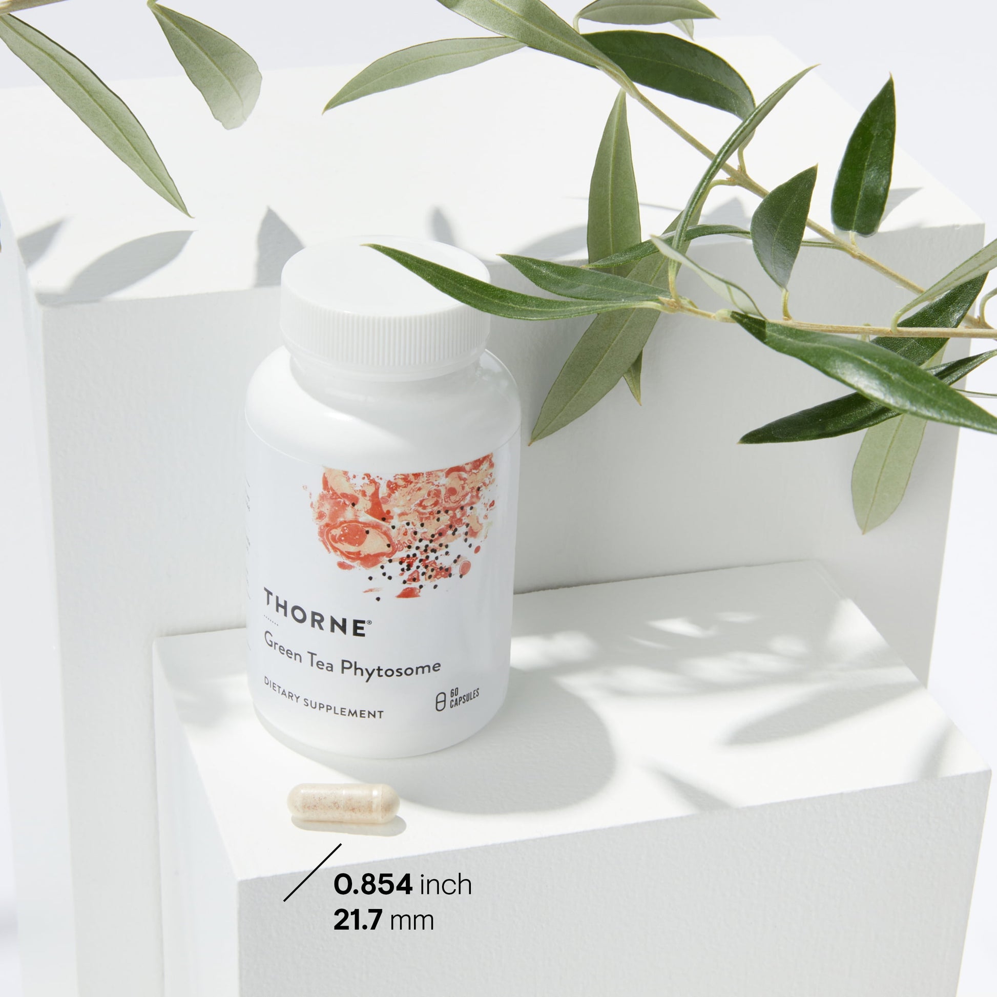 - Green Tea Phytosome - Antioxidant, Liver Protective, and Metabolic Benefits* of Green Tea without the Caffeine - 60 Capsules