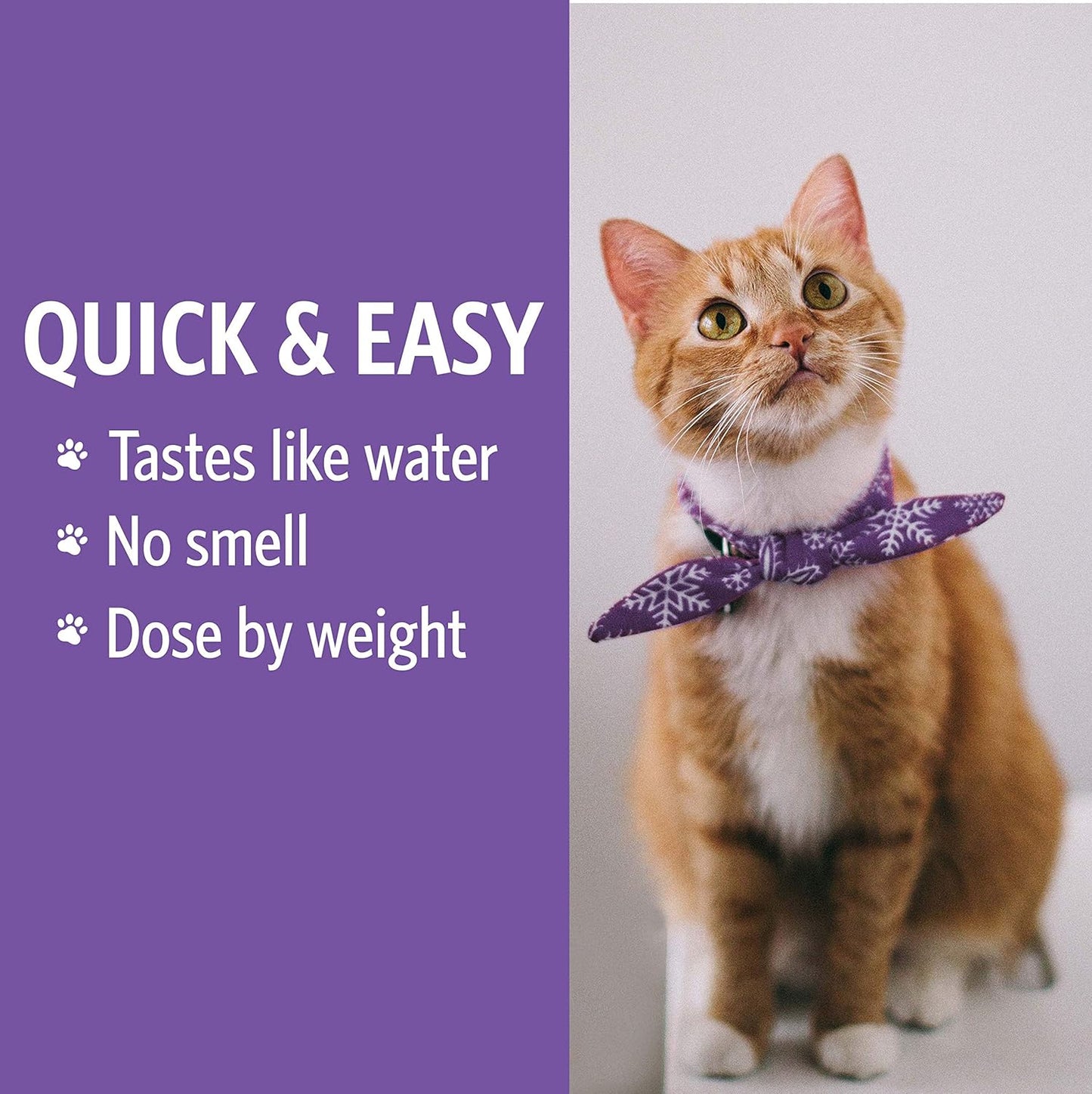 Pets Immune Support - Colloidal Silver, Bio-Active Silver Hydrosol, for Dogs and Cats 10 Ppm, Liquid Dropper, 4 Fl Oz, (118 Ml)