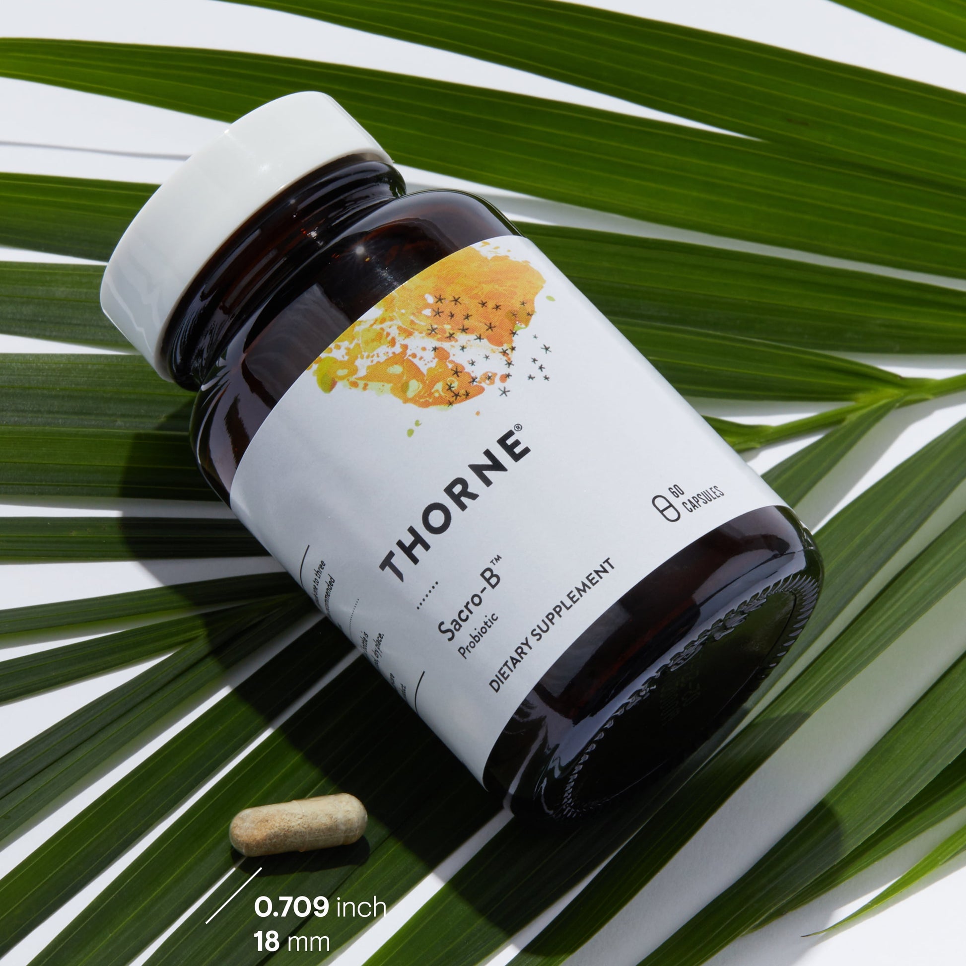 - Sacro-B Probiotic - Support Gut Health, Immune Function & Constipation Relief Probiotics* - Gluten-Free Health Support* - 60 Capsules