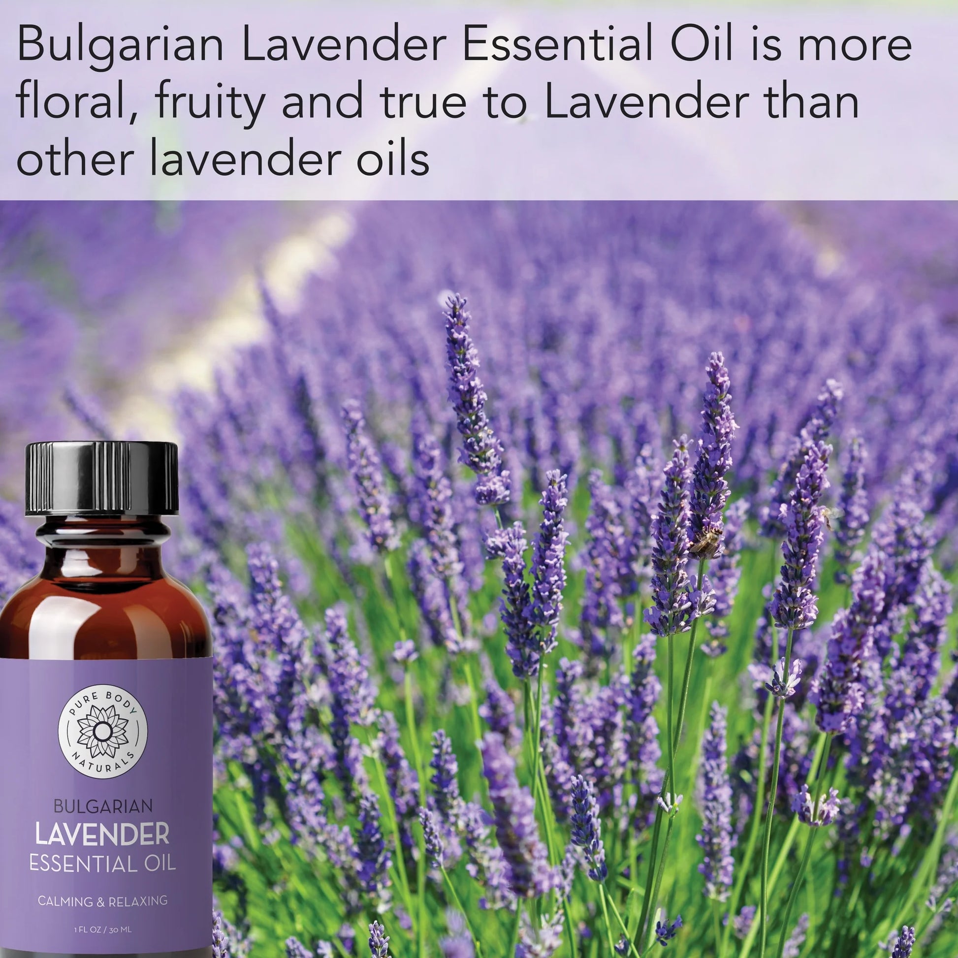Bulgarian Lavender Essential Oil for Aromatherapy, Therapeutic Grade 1 Fl Oz by